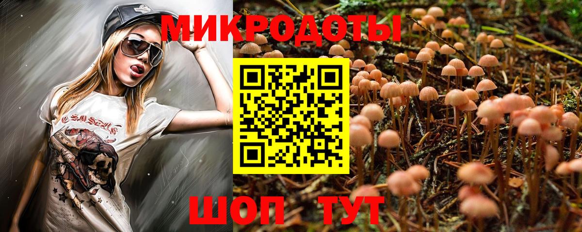 Псилоцибиновые грибы Psilocybine cubensis Энгельс