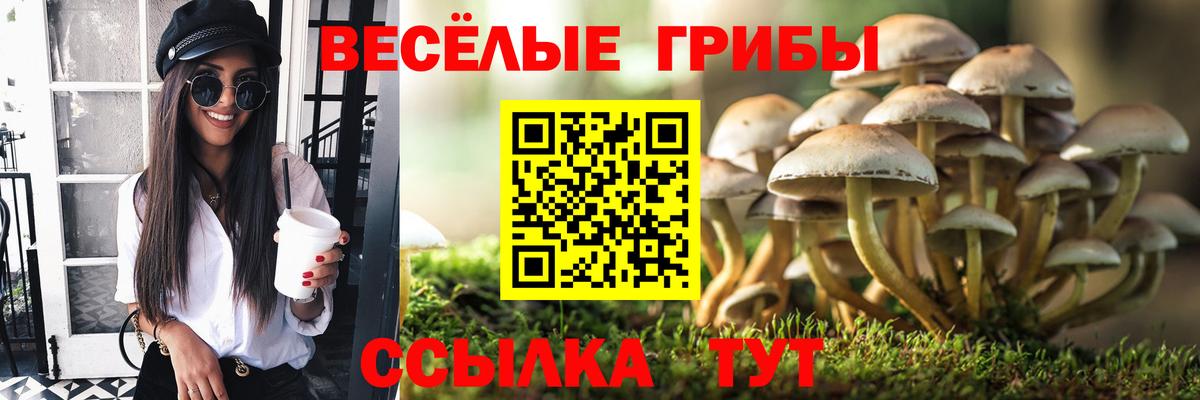 что такое наркотик  Галлюциногенные грибы мухоморы  Энгельс  Вход с VPN  Галлюциногенные грибы MAGIC MUSHROOMS 